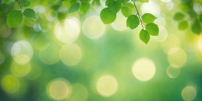 The primary subject of the image is a leaf, which is the main object, scene, or focus of the image. The leaf is green and is situated in a bright, sunny environment. The setting includes a green background, and the visual style is a photo. The colors and mood of the image are bright, lively, and vibrant, with the green leaf being the central point of interest.