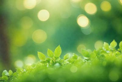The image features a lush green forest with a bright sunlight shining through the trees. The primary subject is a close-up of a leaf, which is surrounded by other leaves in the background. The visual style is a photo, capturing the natural beauty of the forest. The colors and mood are vibrant and serene, with the green leaves and sunlight creating a peaceful and inviting atmosphere.