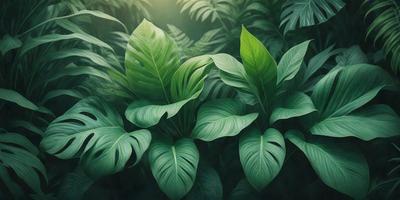 The image features a lush green forest with a variety of green leaves and plants. The primary subject is a large leaf, which is prominently displayed in the foreground. The setting is a dense forest with many plants and leaves surrounding the main subject. The visual style is a close-up of the leaf, emphasizing its texture and details. The colors and mood of the image are predominantly green, creating a serene and natural atmosphere.