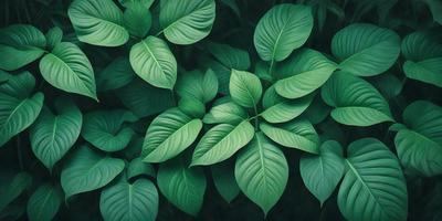 The primary subject of the image is a large green leaf, which is the main focus of the scene. The leaf is surrounded by a forest of green leaves, creating a lush and vibrant atmosphere. The visual style of the image is a painting, with the artist capturing the intricate details of the leaves and their surrounding environment. The colors and mood of the image are predominantly green, with a sense of freshness and vitality.