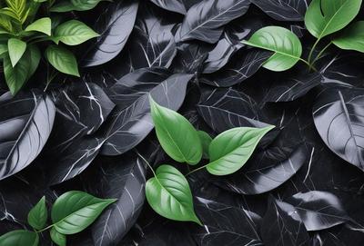 The primary subject of the image is a close-up of a leafy plant with green leaves. The plant is growing on a black and white marbled surface, which serves as the setting and background of the image. The visual style of the image is a close-up, which emphasizes the details of the plant. The colors in the image are predominantly black and white, giving the scene a classic and elegant appearance.