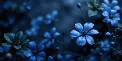 The primary subject of the image is a blue flower, which is the main focus of the scene. The setting is a dark blue background, creating a moody atmosphere. The visual style is a close-up of the flower, showcasing its details. The dominant colors are blue and purple, giving the image a calm and serene mood.