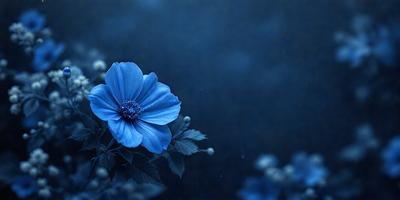 The primary subject of the image is a blue flower with a yellow center, which is the main focus of the image. The setting is a dark blue background, which creates a moody and dramatic atmosphere. The visual style is a digital art, as the flower is depicted in a stylized manner. The dominant colors are blue and yellow, with the blue flower and the dark blue background creating a striking contrast.