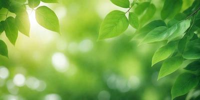 The primary subject of the image is a leafy green tree. The setting is a bright, sunny day with a clear blue sky. The visual style is a photo of a leafy green tree. The colors and mood are bright, lively, and serene, with the green leaves providing a sense of freshness and vitality.