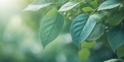 The primary subject of the image is a leaf, which is the main object, scene, or focus of the image. The leaf is green and is hanging from a tree branch. The setting/background consists of a tree with green leaves, and the visual style is a photo. The colors and mood of the image are predominantly green, creating a natural and serene atmosphere.