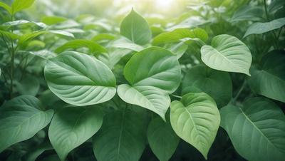 The primary subject of the image is a large green leaf, which is the main focus of the scene. The leaf is surrounded by a lush green environment, which includes a forest of green leaves. The visual style of the image is a photo, capturing the natural beauty of the leaf and its surroundings. The colors in the image are predominantly green, creating a serene and peaceful atmosphere.