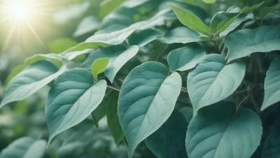 The primary subject of the image is a leafy green plant with large leaves. The plant is situated in a lush green environment, surrounded by other plants. The visual style of the image is a close-up of the plant, showcasing its details. The colors and mood of the image are predominantly green, creating a serene and natural atmosphere.