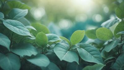 The image features a lush green forest with a variety of plants, including leafy green plants and trees. The primary subject is a close-up of a leafy green plant, which is the main focus of the image. The setting is a forest environment, with the plants and trees surrounding the main subject. The visual style is a photo, capturing the natural beauty of the forest. The colors and mood are predominantly green, creating a serene and peaceful atmosphere.