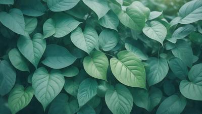 The primary subject of the image is a large green leafy plant with many leaves. The plant is surrounded by a lush green environment, which adds to the overall atmosphere of the image. The visual style of the image is a close-up of the plant, showcasing its intricate details. The colors in the image are predominantly green, which creates a calm and serene mood.
