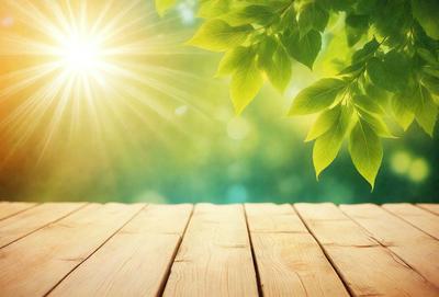 The primary subject of the image is a wooden deck with a sunny atmosphere. The setting is a bright, sunny day with a green leafy tree in the background. The visual style is a photo, capturing the natural light and the vibrant colors of the scene. The colors and mood of the image are warm and inviting, with the sunlight creating a pleasant and relaxing environment.