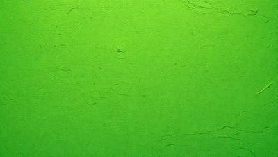The primary subject of the image is a green wall. The setting is a room with a green wall, and the visual style is a photo. The dominant colors are green, and the overall atmosphere is calm and serene.