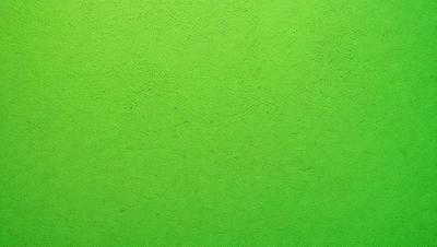 The primary subject of the image is a green wall. The setting is a room with a green wall, and the visual style is a photo. The dominant colors are green, and the overall atmosphere is calm and serene.