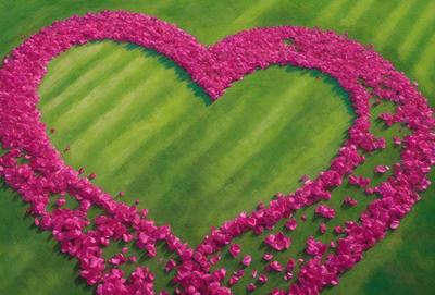 The primary subject of the image is a heart-shaped arrangement of pink flowers. The heart is filled with pink flowers, creating a visually appealing and romantic scene. The setting is a grassy field, which serves as the backdrop for the heart-shaped flower arrangement. The visual style of the image is a combination of digital art and illustration, as it is a well-crafted and detailed drawing of a heart made of flowers. The colors and mood of the image are predominantly pink,