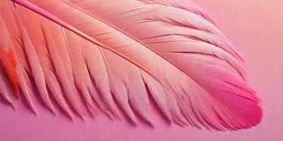 The primary subject of the image is a pink feather, which is the main object, scene, or focus of the image. The setting is a pink background, which adds to the overall atmosphere. The visual style is a close-up of the feather, showcasing its details and texture. The colors and mood of the image are predominantly pink, creating a warm and inviting atmosphere.