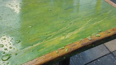 The primary subject of the image is a wooden table with a green surface. The table appears to be wet, possibly due to condensation or water spills. The setting is an outdoor area, as the table is placed outside. The visual style of the image is a photo, capturing the natural light and reflections on the table. The colors and mood of the image are predominantly green, with a slightly damp and cool atmosphere.
