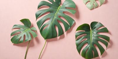 The image features a large green leaf, possibly a palm leaf, with a stem. The leaf is placed on a pink background, creating a striking contrast between the green and pink colors. The leaf is positioned in the center of the image, with other leaves surrounding it. The overall atmosphere of the image is vibrant and lively, with the green leaf standing out against the pink background.