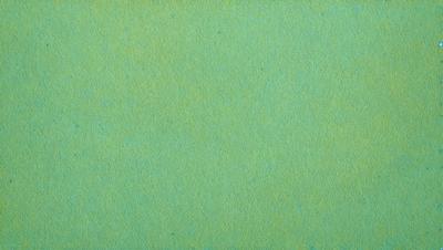 The primary subject of the image is a green background. The setting is a large, open space with a green surface. The visual style is a close-up of the green background, which gives a sense of depth and texture. The colors and mood of the image are predominantly green, creating a calm and serene atmosphere.