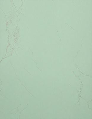 The primary subject of the image is a green wall with a marble texture. The setting is a room with a green background. The visual style is a close-up of the wall, showcasing the marble texture. The colors and mood of the image are predominantly green, giving it a calm and serene atmosphere.