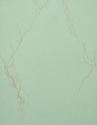 The primary subject of the image is a green wall with a pattern of lines and branches. The setting is a room with a green background, and the visual style is a combination of a photo and a drawing. The colors and mood of the image are predominantly green, creating a calm and soothing atmosphere.