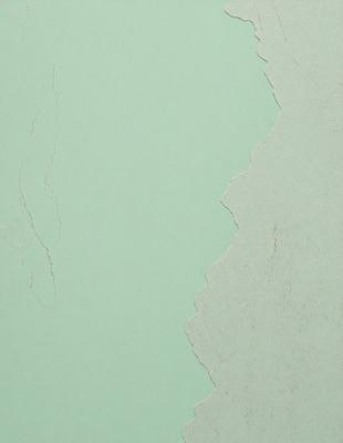 The primary subject of the image is a green wall with a peeling paint surface. The setting is a room with a green wall, and the visual style is a photo. The dominant colors are green and white, and the overall atmosphere is somewhat dull and aged due to the peeling paint.