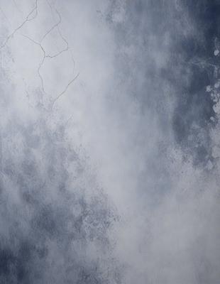The primary subject of the image is a large, white wall with a blue background. The setting appears to be a room with a blue-gray sky visible in the background. The visual style of the image is a combination of photo and digital art, creating a unique and artistic representation of the wall. The colors and mood of the image are predominantly blue and gray, giving it a calm and serene atmosphere.