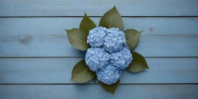 The primary subject of the image is a blue flower, which is the main focus of the scene. The flower is placed on a blue surface, which serves as the background. The visual style of the image is a photo, capturing the beauty of the blue flower in detail. The dominant colors in the image are blue and white, creating a calm and serene atmosphere.