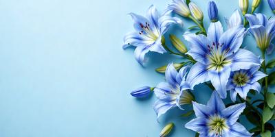 The primary subject of the image is a bouquet of blue flowers, which are the main focus of the scene. The flowers are arranged in a visually appealing manner, creating a sense of beauty and tranquility. The setting is a blue wall, which serves as a striking backdrop for the flowers. The visual style of the image is a close-up of the flowers, emphasizing their details and colors. The dominant colors in the image are blue and white, which contribute to the overall mood of the scene.