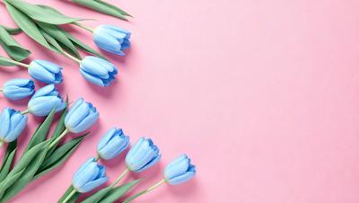 The primary subject of the image is a bouquet of blue flowers, which are the main focus of the scene. The flowers are arranged in a visually appealing manner, with some of them placed on a pink background. The visual style of the image is a close-up of the flowers, showcasing their beauty and details. The colors and mood of the image are predominantly pink and blue, creating a serene and calming atmosphere.