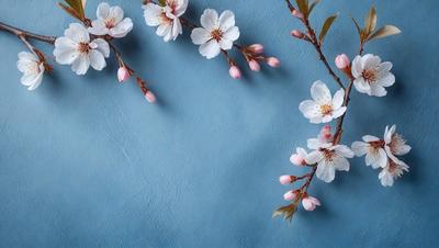 The primary subject of the image is a close-up of a branch with pink flowers on it. The setting is a blue wall, which serves as the background. The visual style is a photo, capturing the beauty of the flowers and the branch. The colors are predominantly pink, creating a warm and inviting atmosphere.