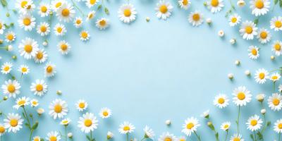 The primary subject of the image is a close-up of white flowers, with a blue background. The flowers are arranged in a pattern, creating a visually appealing scene. The visual style of the image is a combination of photo and digital art, as it captures the beauty of the flowers in a unique and artistic manner. The dominant colors in the image are white and blue, giving it a calm and serene atmosphere.