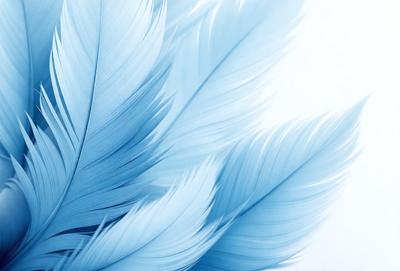 The primary subject of the image is a white feather, which is the main object, scene, or focus of the image. The setting or background is a white surface, which creates a clean and minimalistic appearance. The visual style of the image is a close-up of the feather, showcasing its details and texture. The colors and mood of the image are predominantly white, giving it a serene and calming atmosphere.