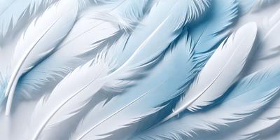 The primary subject of the image is a close-up of a white feather. The setting is a blue background, which creates a striking contrast with the white feather. The visual style is a realistic representation of the feather, showcasing its intricate details. The colors and mood of the image are predominantly white and blue, giving it a clean and serene atmosphere.