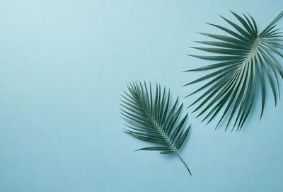 The primary subject of the image is a close-up of two large green palm leaves. The leaves are placed on a blue background, which creates a striking contrast between the green leaves and the blue surface. The visual style of the image is a photo, capturing the details and textures of the palm leaves. The colors and mood of the image are predominantly green and blue, giving it a calm and serene atmosphere.