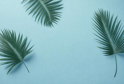 The image features a blue background with three palm fronds prominently displayed. The fronds are arranged in a way that they appear to be floating on the blue surface. The overall atmosphere of the image is serene and calming, with the blue background providing a soothing and tranquil environment for the palm fronds.