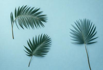 The image features two large green palm leaves, each with a distinct shape, placed on a blue background. The leaves are positioned close to each other, creating a visually appealing composition. The blue background provides a contrasting and calming atmosphere to the scene. The overall visual style of the image is a combination of natural elements and a modern, minimalist design.