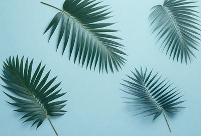The image features a blue background with a row of green palm leaves. There are six palm leaves in total, with some overlapping each other. The leaves are arranged in a way that they create a visually appealing pattern. The overall atmosphere of the image is calm and serene, with the blue background and the green palm leaves creating a sense of tranquility.