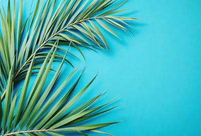 The primary subject of the image is a close-up of a palm tree leaf. The leaf is green and appears to be a part of a larger palm tree. The setting is a blue wall, which serves as the background for the image. The visual style is a close-up of the palm tree leaf, showcasing its details. The colors in the image are predominantly green, which is the color of the palm tree leaf, and blue, which is the color of the wall. The overall atmosphere of the