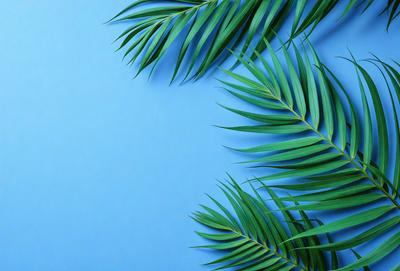 The primary subject of the image is a close-up of a palm tree. The setting is a blue wall, which serves as the backdrop for the palm tree. The visual style is a photo, capturing the details of the palm tree. The colors and mood of the image are predominantly blue, creating a calm and serene atmosphere.