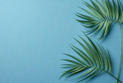 The primary subject of the image is a close-up of a green palm leaf. The setting is a blue wall, which serves as the background. The visual style is a photo, capturing the details of the palm leaf. The dominant colors are green and blue, creating a calm and serene atmosphere.