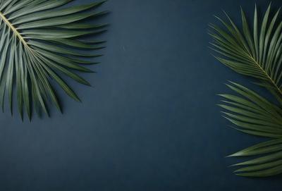The image features two large palm leaves, one on the left and the other on the right, placed against a dark blue background. The leaves are positioned in a way that they appear to be overlapping each other. The overall atmosphere of the image is calm and serene, with the dark blue background providing a sense of depth and contrast to the palm leaves.