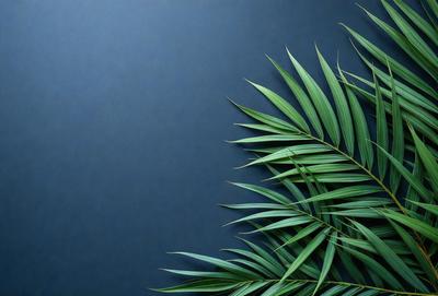 The primary subject of the image is a close-up of a palm tree leaf. The leaf is green and appears to be a part of a larger palm tree. The setting is a blue background, which provides a contrasting color to the green leaf. The visual style of the image is a close-up, focusing on the details of the leaf. The colors and mood of the image are predominantly green and blue, creating a calm and serene atmosphere.