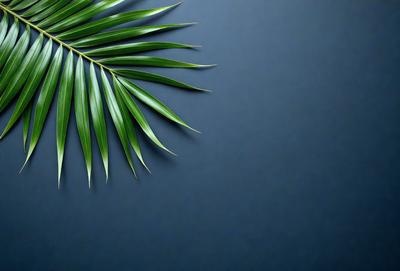 The primary subject of the image is a close-up of a palm tree. The setting is a blue background, which creates a contrast with the green leaves of the palm tree. The visual style is a photo, capturing the natural beauty of the palm tree. The colors and mood of the image are predominantly green and blue, giving it a serene and calming atmosphere.