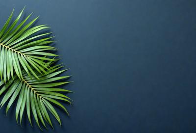 The primary subject of the image is a close-up of a green palm leaf. The leaf is prominently displayed against a blue background, which creates a striking contrast. The visual style of the image is a photo, capturing the intricate details of the palm leaf. The colors and mood of the image are predominantly green and blue, giving it a calm and serene atmosphere.