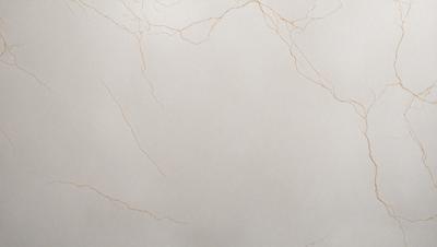 The primary subject of the image is a marble wall with a white background. The setting is a room with a marble wall, and the visual style is a photo. The colors and mood of the image are predominantly white, giving it a clean and elegant appearance.