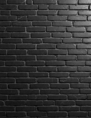 The primary subject of the image is a black brick wall. The setting is a brick wall, and the visual style is a photo. The dominant colors are black and grey, creating a moody atmosphere.
