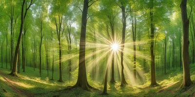 The primary subject of the image is a sun shining through the trees, creating a beautiful and serene atmosphere. The setting is a lush green forest filled with trees, providing a natural and peaceful backdrop. The visual style of the image is a photo, capturing the sunlight and the trees in their natural environment. The colors and mood of the image are predominantly green, with the sunlight creating a warm and inviting ambiance.