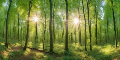 The primary subject of the image is a forest filled with trees. The setting is a lush green forest with sunlight shining through the trees, creating a serene and peaceful atmosphere. The visual style is a natural, outdoor scene, with the trees and sunlight as the main focus. The colors and mood are predominantly green, with the sunlight adding a warm and inviting touch to the environment.