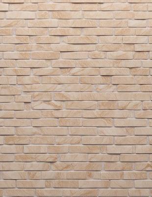 The primary subject of the image is a brick wall. The setting is a brick wall with a pattern of bricks, and the visual style is a photo. The colors and mood of the image are predominantly earthy tones, giving it a natural and rustic appearance.