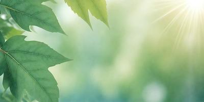The primary subject of the image is a leaf, which is the main object, scene, or focus of the image. The leaf is green and is situated in a setting with a background of a bright green leafy plant. The visual style of the image is a photo, capturing the natural beauty of the leaf. The colors and mood of the image are predominantly green, creating a serene and natural atmosphere.