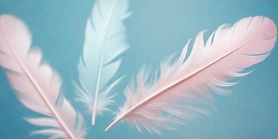 The primary subject of the image is a close-up of a white feather. The feather is the main object, and it is displayed against a blue background. The visual style of the image is a photo, and the dominant colors are white and blue. The overall atmosphere of the image is serene and elegant, as the feather is a symbol of beauty and grace.